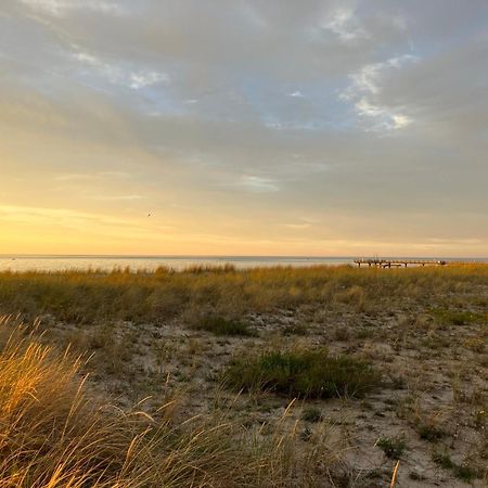 Strandgruen Rerik Luaran gambar