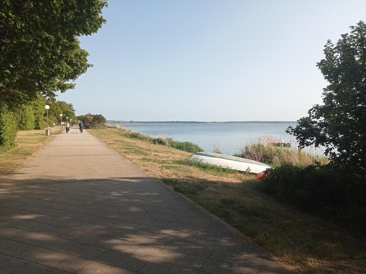 Strandgruen Rerik Luaran gambar
