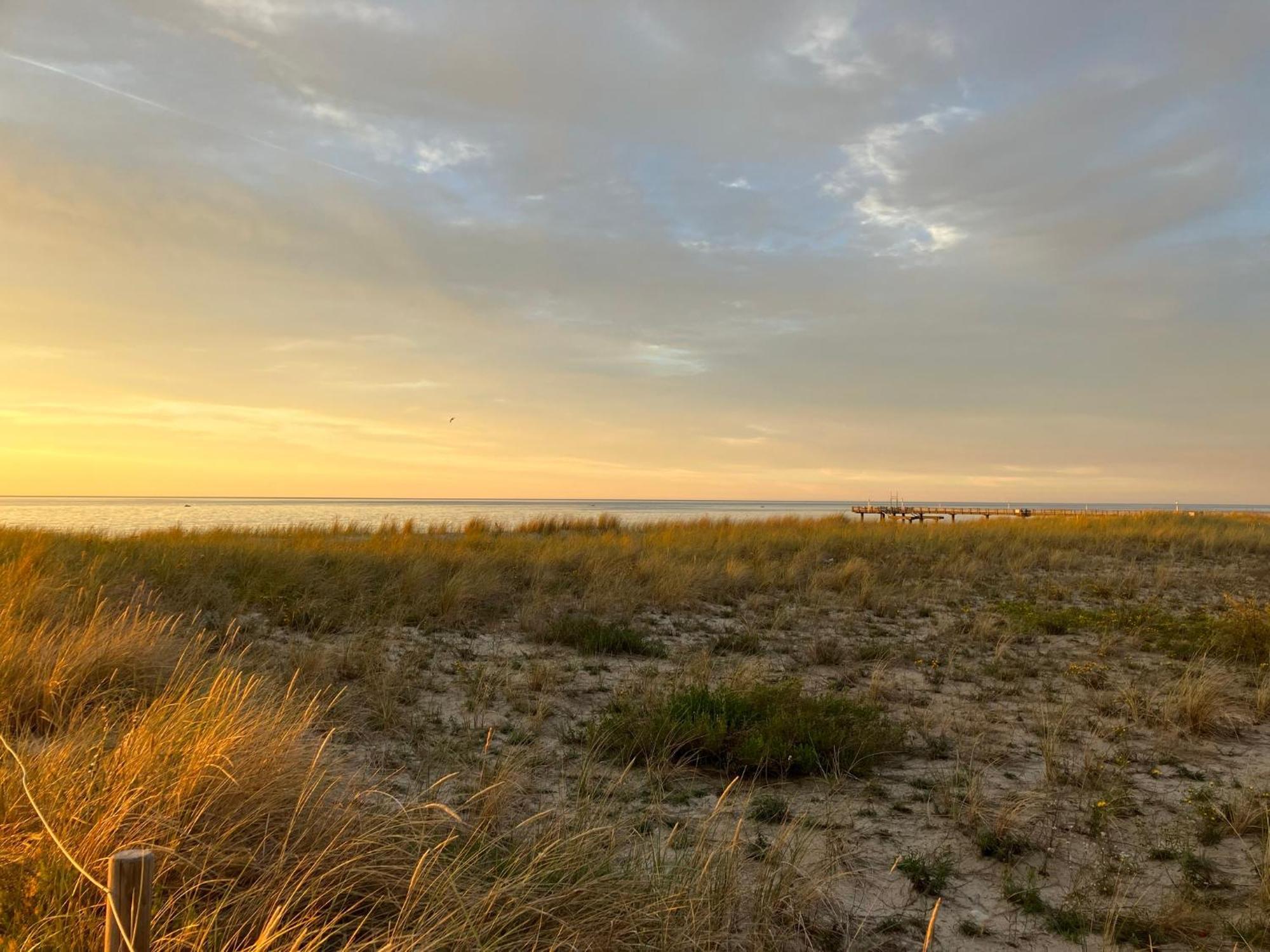 Strandgruen Rerik Luaran gambar