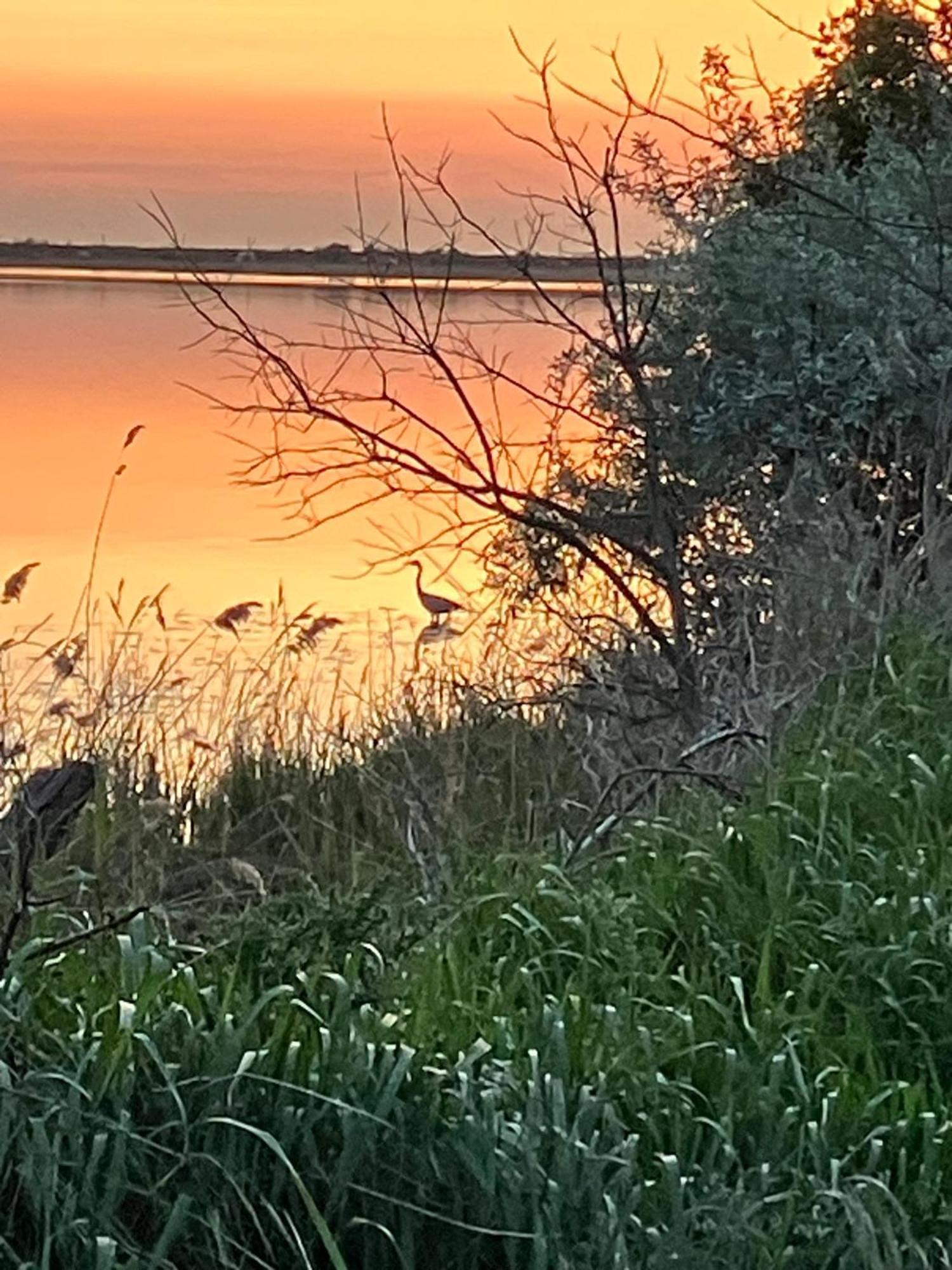 Strandgruen Rerik Luaran gambar
